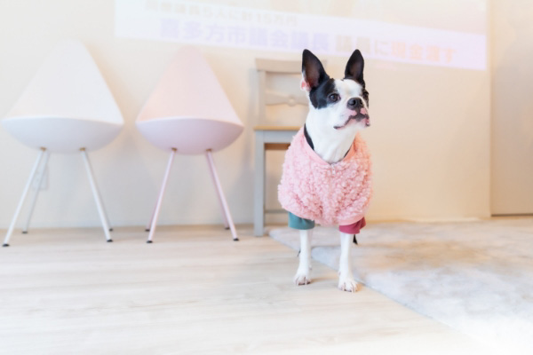 ペットと暮らす家